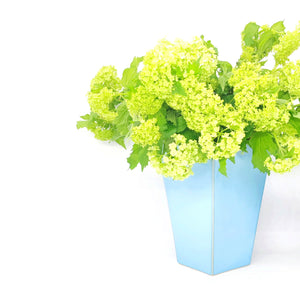 schlichte blaue eckige Vase für Blumensträße. Hier arrangiert mit einfachen grünen Blumen um das Blau der Vase zu unterstreichen. 