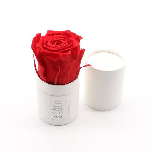 Unsere ewig haltbaren Rosen sind in einer Box und sind in unterschiedlichen Farben erhältlich.